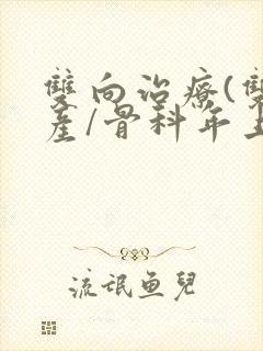 双向治疗(双/产/骨科年上)