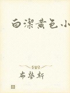 白洁黄色小说