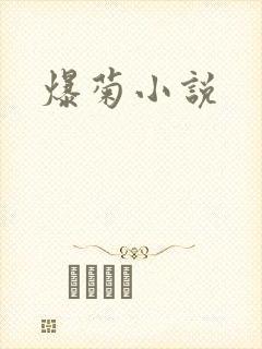 爆菊小说