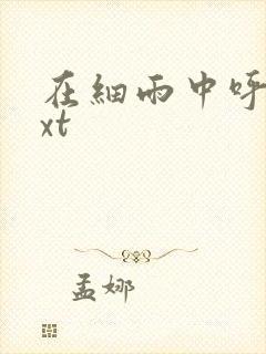 在细雨中呼喊txt