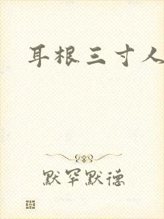 耳根三寸人间封面