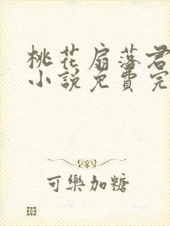 桃花扇落君不还小说免费完整版封面