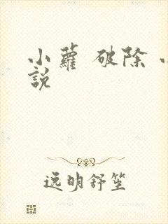 小萝 破除 小说