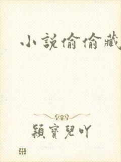 小说偷偷藏不住封面