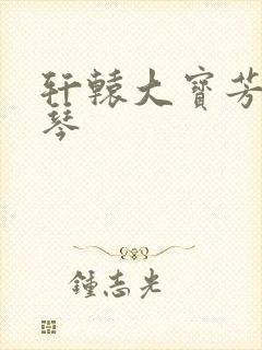 轩辕大宝芳菲雅琴