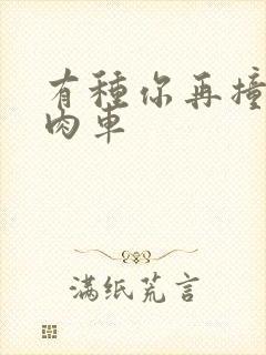 有种你再撞一下肉车