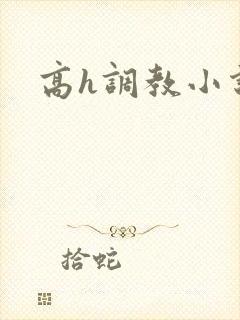 高h调教小说封面