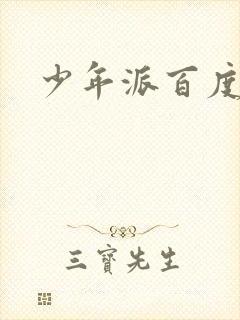 少年派百度百科