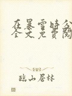 在暴雪时分小说全文免费阅读封面