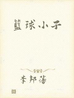 篮球小子
