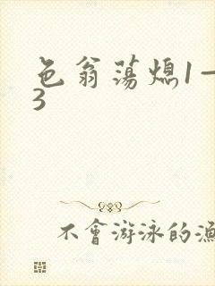 色翁荡熄1—13封面