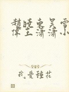 赵晓东吴雪晴郑伟王潇潇小说名字