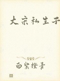大宋私生子