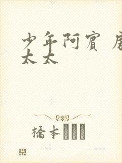 少年阿宾 房东太太