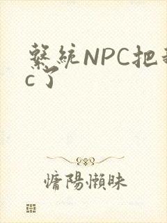 系统NPC把我c了
