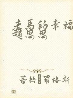 老马的幸福生活赵思思封面