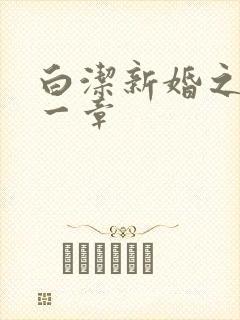 白洁新婚之夜第一章