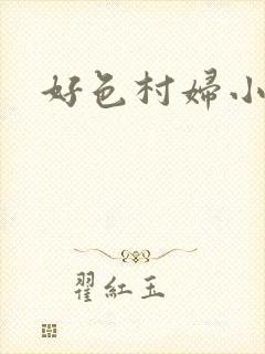 好色村妇小银贼封面