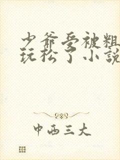 少爷受被粗汉H玩松了小说