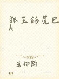 狐王的尾巴高ah