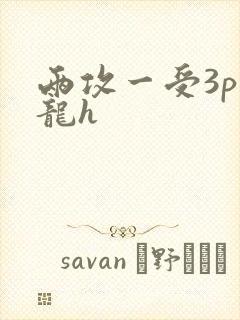 两攻一受3p双龙h