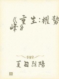 《重生:权势巅峰》