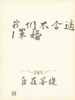 我们不合适1v1军婚