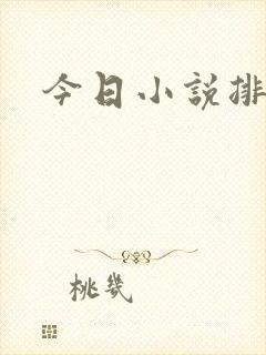 今日小说排行榜封面