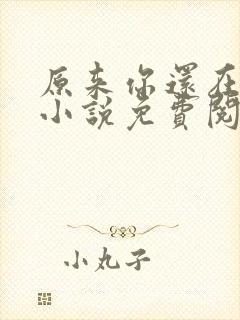 原来你还在这里小说免费阅读