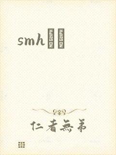 smhС˵封面