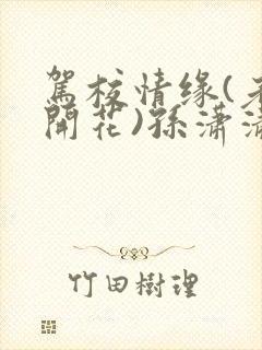 驾校情缘(老树开花)孙潇潇笔趣阁