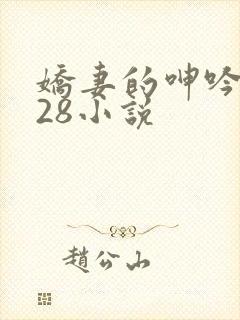 娇妻的呻吟1—28小说