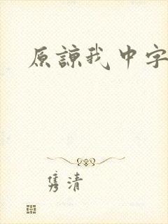 原谅我中字