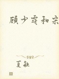 顾少霆和宋斯曼