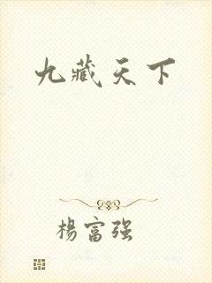 九藏天下
