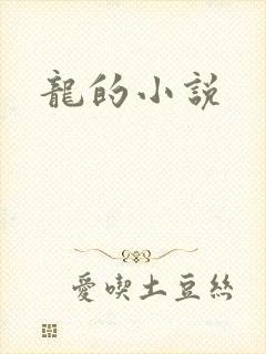龙的小说封面