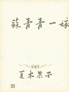 苏青青一嫁三夫封面
