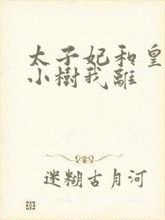 太子妃和皇上在小树我离封面