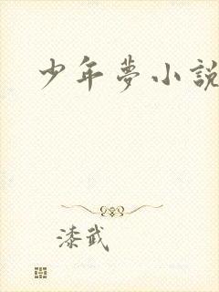 少年梦小说封面