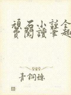 顽石小说全文免费阅读笔趣阁