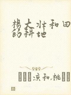 杨大壮和田桂花的耕地封面