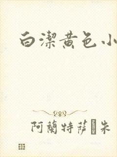 白洁黄色小说