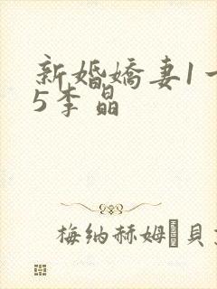 新婚娇妻1一25李晶