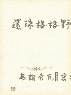 还珠格格野传封面