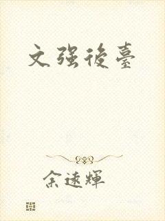 文强后台封面