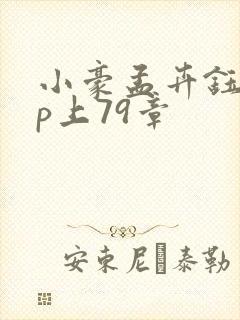 小豪孟卉钰慧三p上79章