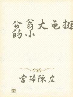 公翁大龟挺进我的小