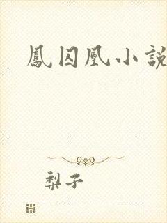 凤囚凰小说