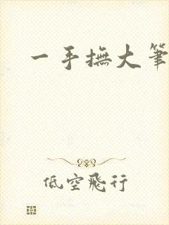 一手抚大笔趣阁
