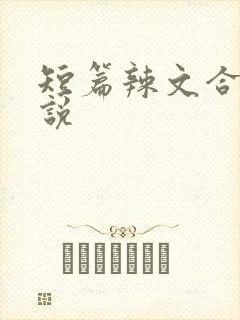 短篇辣文合集小说